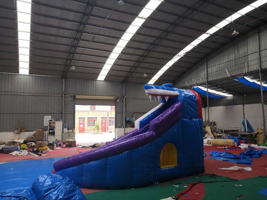 Backyard Shark Giant Inflatable Slide , Blow Up Slide For Inground Pool