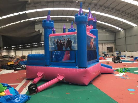 Attractive Bounce House Wet Or Dry Combo / High Durability Frozen Blow Up Castle